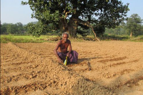 SUSTAINABLE LIVELIHOOD